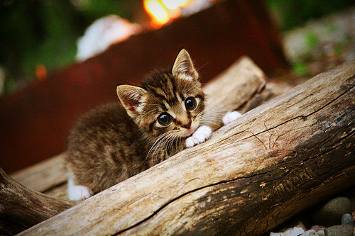 黑暗中的闪电，乌克兰绝杀塞维利亚，门迪的孤岛纪录