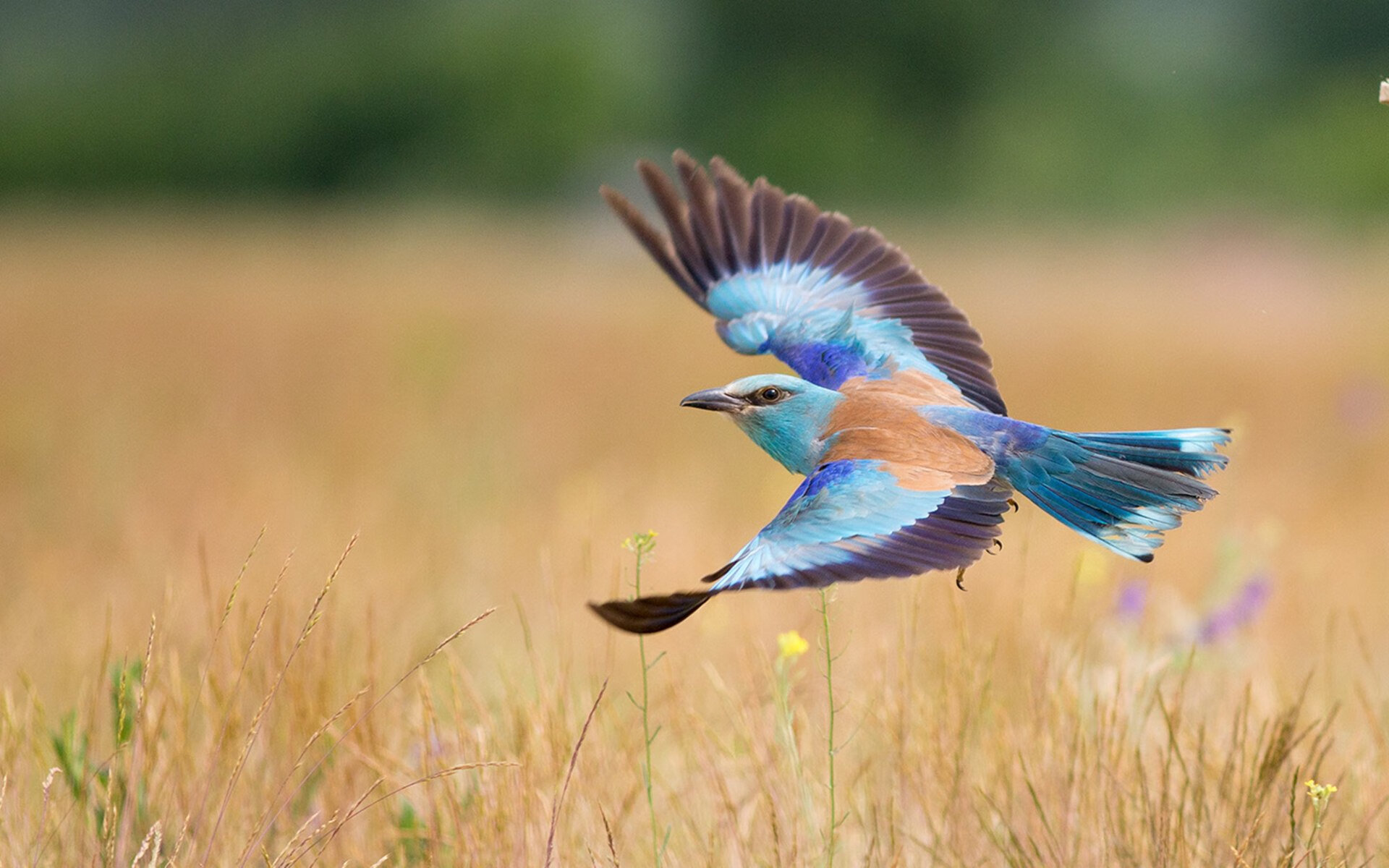 闪电战与领袖时刻，比利亚雷亚尔的战术完胜与孙兴慜的奥运接管