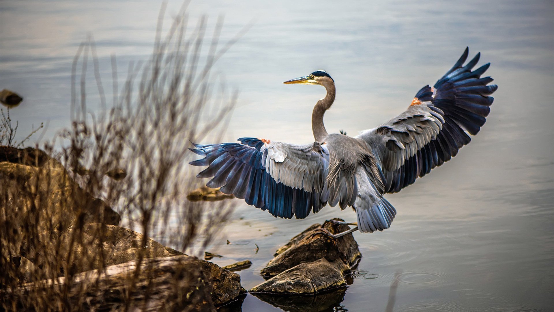 死亡审判交响曲的指挥家，克里斯·保罗如何用一场完美演出，让绿军主场见证新传奇