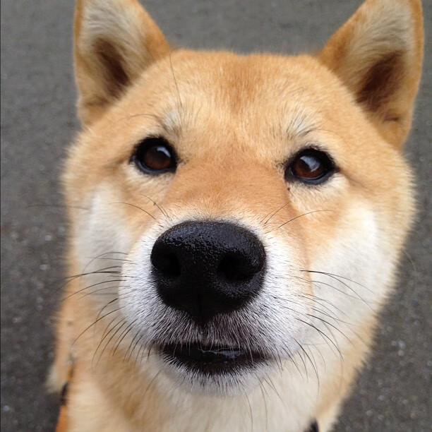 当莫扎特遇上马拉多纳，莱奥一射击穿两个世界的百年回声