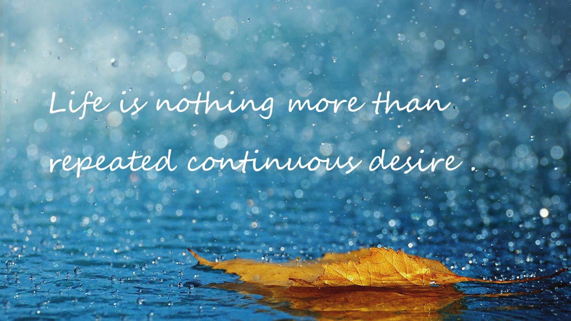 当死神降临CBA，杜兰特跨界50分血洗，魔术单节22-0击溃辽宁