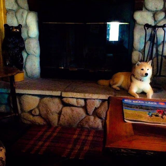 湖人轻取热火，却难掩一人锋芒，班凯罗才是真正大场面先生