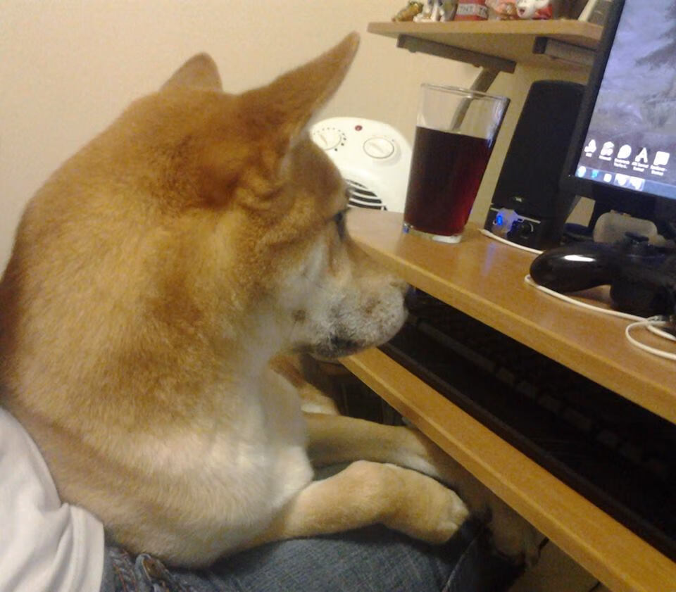 冰面下的熔岩，阿什拉夫与那记撕裂宿命的点球