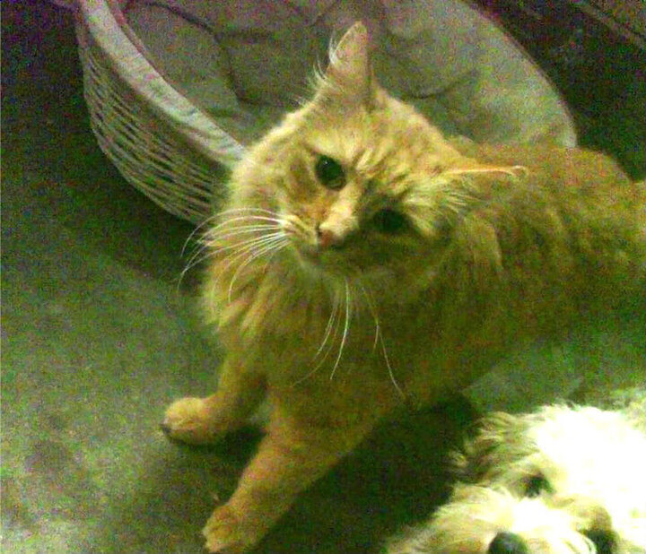 独行侠不独，武神真孤独，单核37+12难敌纽约洪流