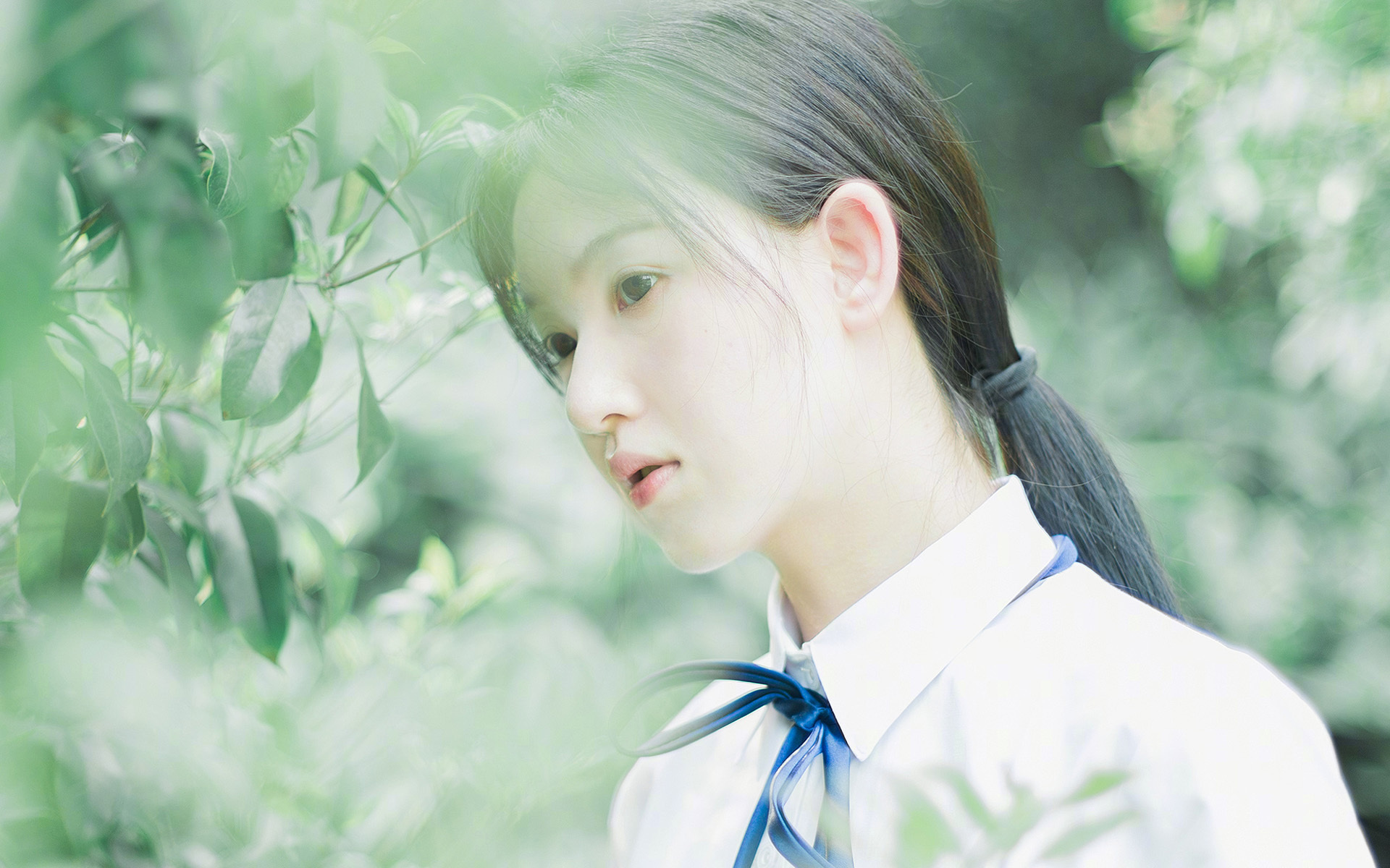 我为你构思了两个不同角度的标题,以及一篇完整的文章