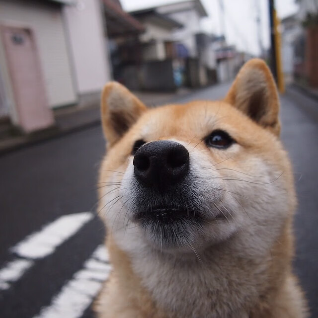 爱游戏大厅-赛场的独舞与团队的独奏，论改写比赛走向的唯一性时刻