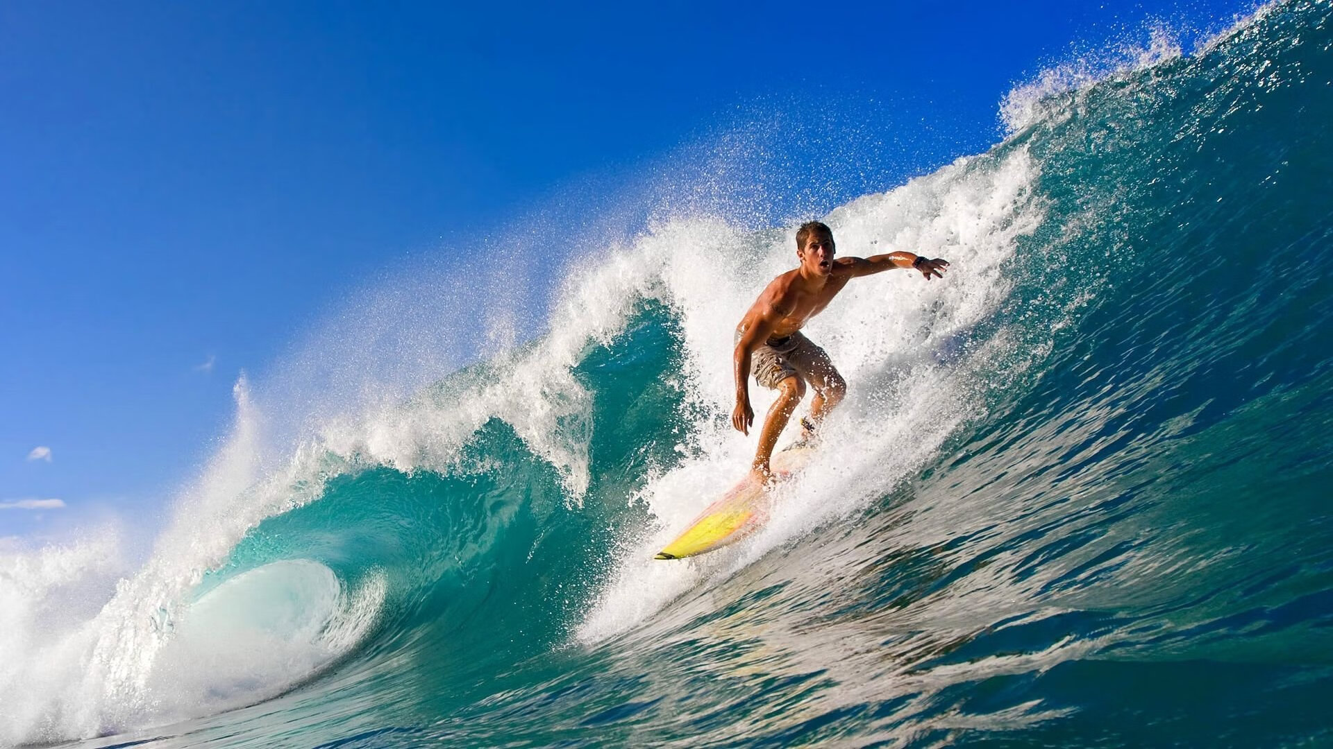 美加墨世界杯之夜，爱德华兹攻防转换核心的崛起