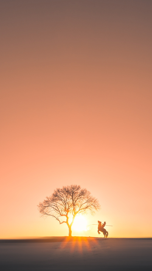 独舞者与交响乐，霍勒迪的节奏魔法如何让掘金收割北京队