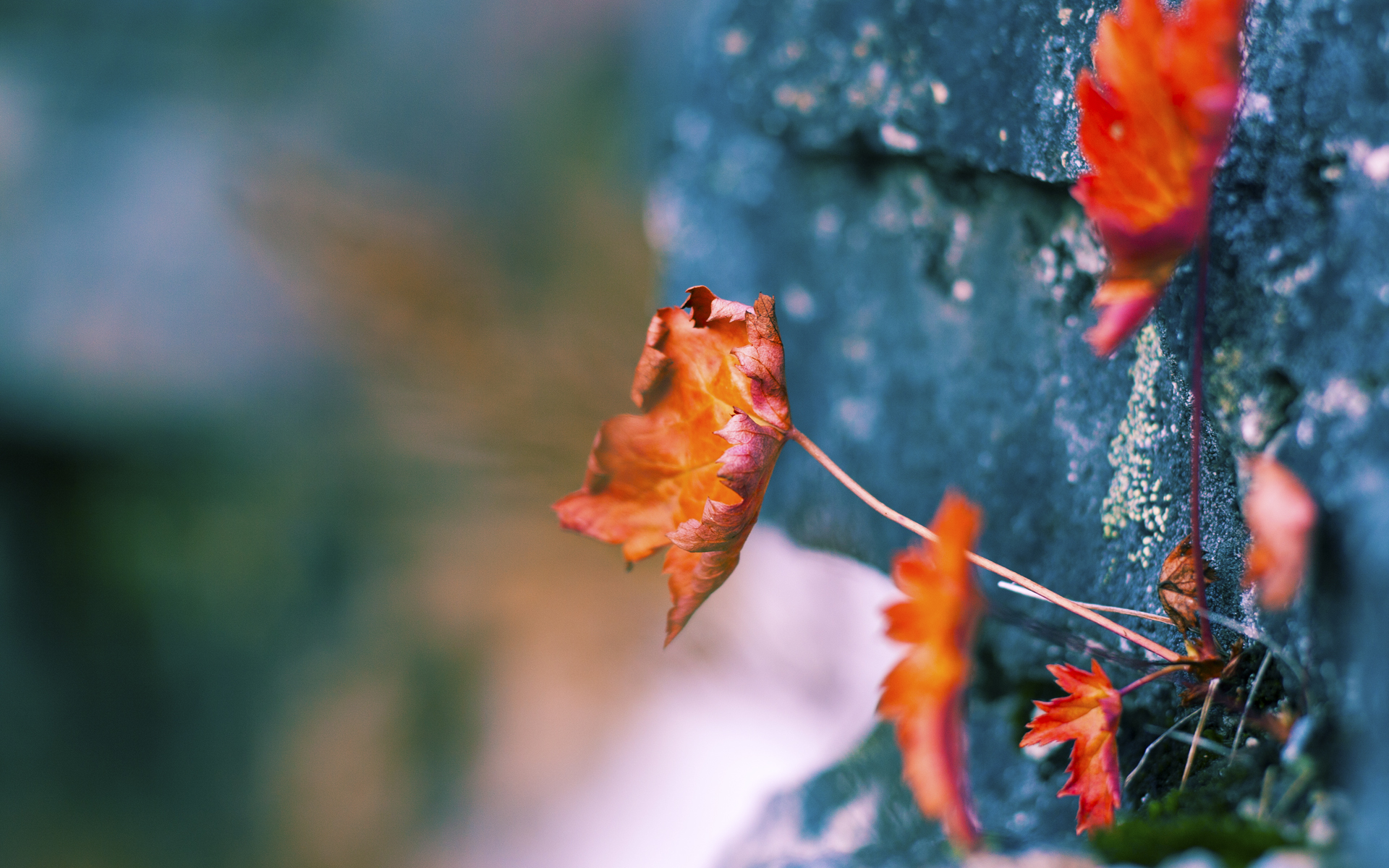 夜归人,哈利伯顿在季后赛的救赎三分
