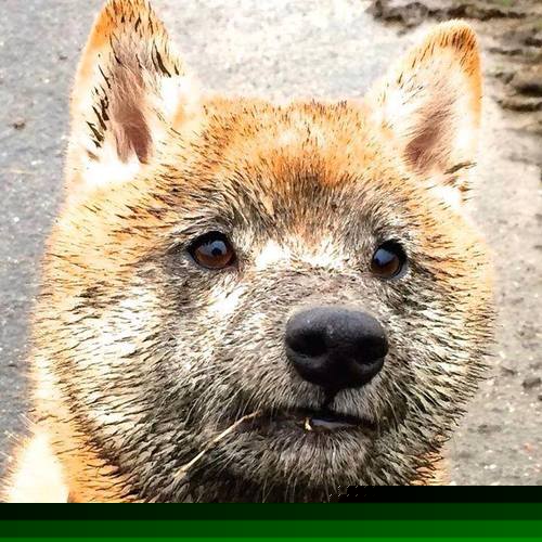 血色48分钟，开拓者燃尽所有，紫金逆流终夺生死战