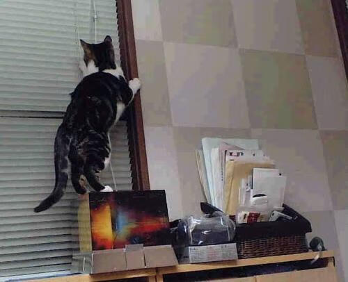 倒转的钟声,如何理解恩佐带领苏格兰击溃国际米兰的唯一性