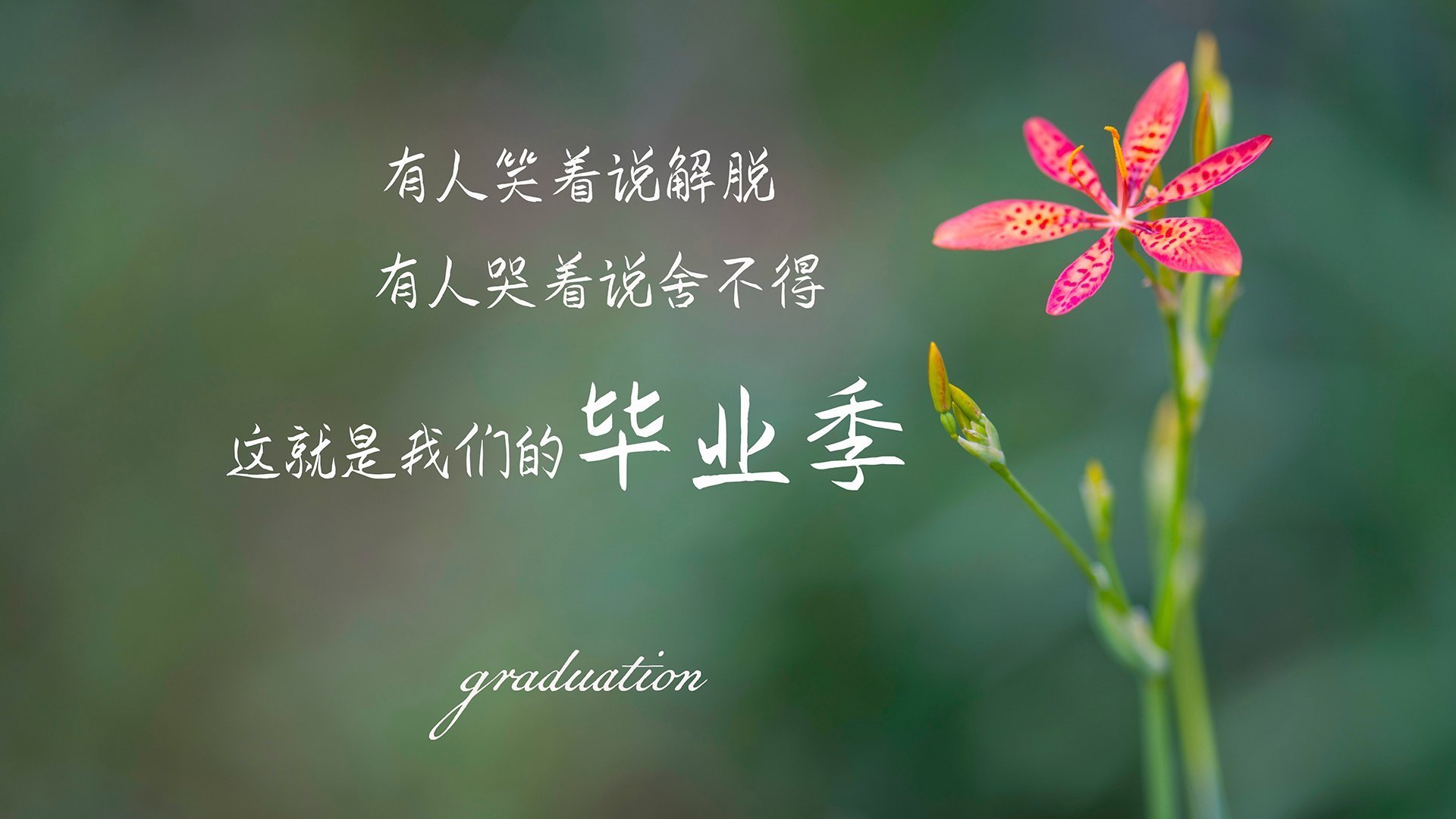 极速与高塔，班凯罗在命运转角处踩下油门