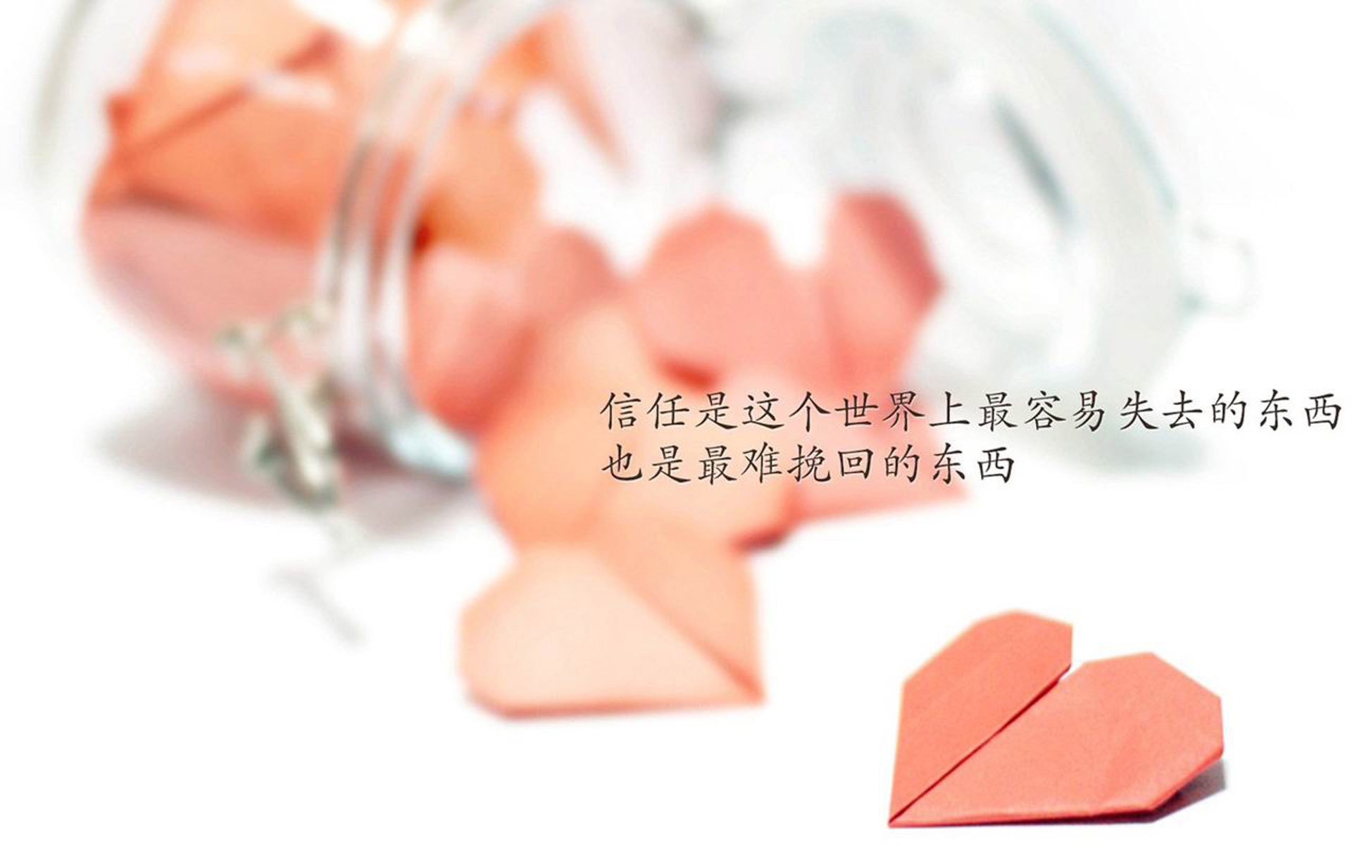 爱游戏在线-孤注一掷的锐利，2026世界杯B组，波兰如何用极致进攻碾压喀麦隆，萨内完成致命一击