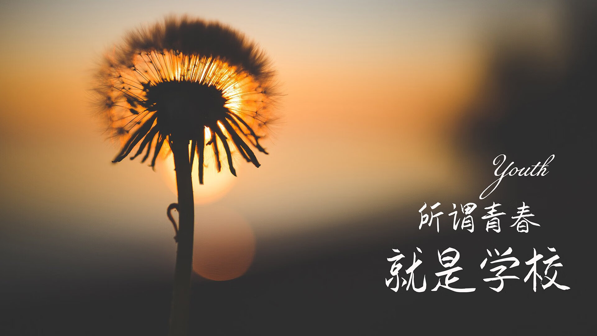 北境之光，拉什福德独舞破双盾，加拿大掀翻丹麦书写世界杯新章