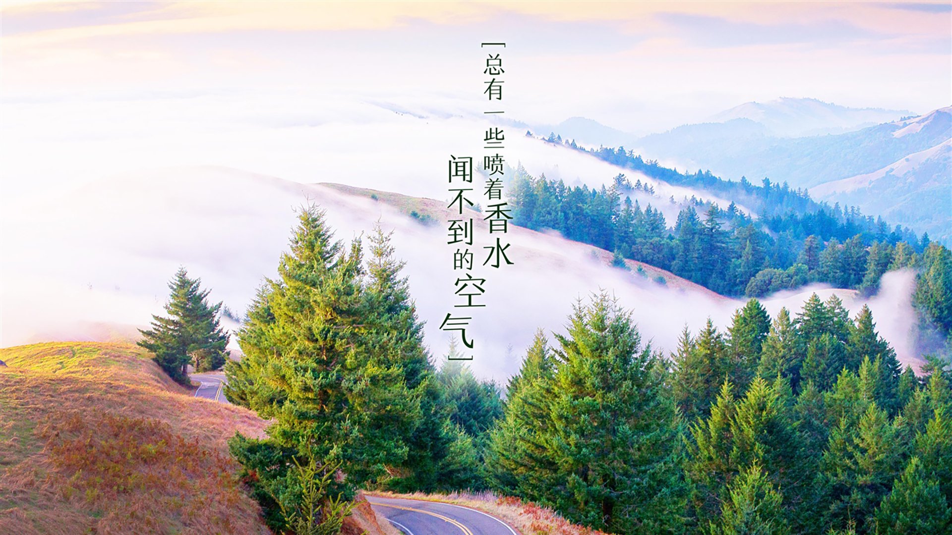 蓝黄风暴下的铁幕裂痕，吉鲁的致命一传，如何让哥伦比亚在2026四分之一决赛撕碎斯洛伐克的不锈钢防线