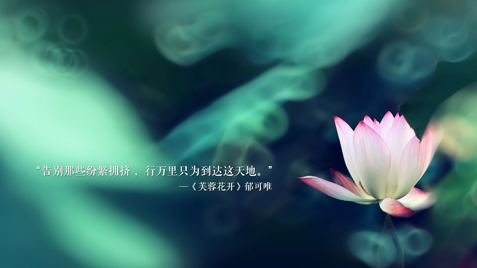爱游戏官网-孤岛之怒，2026世界杯F组冰岛史诗级大胜比利时，C罗致命一击书写战术传奇